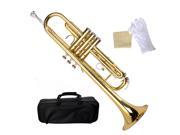 Bb Beginner Trumpet in Gold Silver Black Blue Purple or Red Care Kit