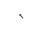 V twin Manufacturing Lens Screw Set For Turn Signal 12 2521