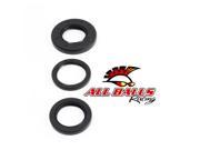 All Balls 25 2021 5 Differential Seal Only Kit