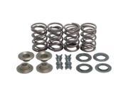 Complete Valve Spring Kit With Ht Steel Retainers .655in Lift