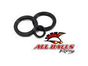 All Balls 25 2056 5 Differential Seal Only Kit