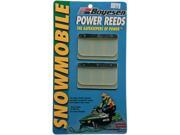 Boyesen Power Reeds Racing Snow Rup Chap 522