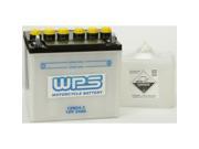 Wps Battery W acid 12n24 3 12n24 3