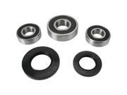 Pivot Works Wheel Bearing And Seal Kits Rr S08 000 Pwrws s08 000