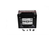 V twin Manufacturing Agm Battery Dry 53 0789