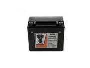 V twin Manufacturing Agm Fully Sealed Black Battery 53 0545