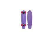 PENNY SKATEBOARDS Nickel Standard 27 Inch Classic Purple PNYCOMP