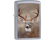 Zippo Deer Street Chrome Windproof Pocket Lighter 29081