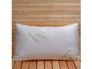 Bamboo Memory Foam Queen Size Pillow