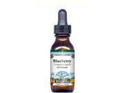 Blueberry Root Glycerite Liquid Extract 1 5 Chocolate Flavored 1 oz ZIN 513208