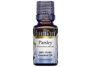 Parsley Pure Essential Oil 0.50 oz ZIN 305121