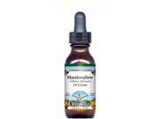 Marshmallow Root Glycerite Liquid Extract 1 5 Strawberry Flavored 1 oz ZIN 512722