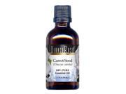 Carrot Seed Pure Essential Oil 1.70 oz ZIN 305499