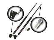 Qty 2 Toyota 4Runner 2005 To 2009 Hatch Liftgate Tailgate Lift Supports Struts Shocks PM1030