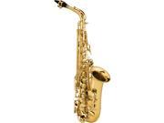 RAS202 Student Eb Alto Saxophone