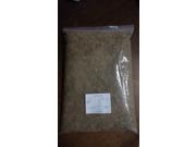 The Dirty Gardener Blue Wild Rye Seed 5 Pounds