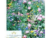 The Dirty Gardener Annual Perennial Wildflower Seed Mix 1 1 Ounce