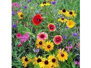 The Dirty Gardener Northeast Wildflower Seed Mixture 5 Pounds