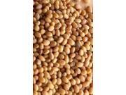 The Dirty Gardener Red Clover Seed 1 Pound
