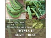 The Dirty Gardener Roma II Bush Beans 900 Seeds 1 Pound