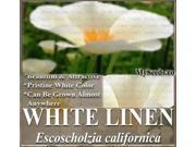 The Dirty Gardener White Linen California Poppy Flowers 280 000 Seeds 1 Pound