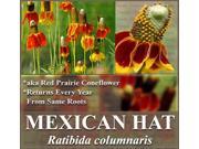 The Dirty Gardener Mexican Hat Coneflower Prairie Flowers 1 Pound