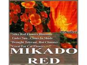 The Dirty Gardener California Poppy Mikado Flowers 1 Ounce