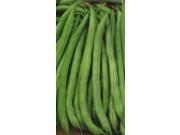 The Dirty Gardener Heirloom Tenderette Stringless Bush Beans 1 Pound