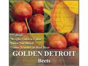 The Dirty Gardener Golden Detroit Beet Seed 1 Pound