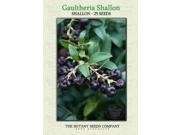 The Dirty Gardener Gaultheria Salal Shallon Flowers 25 Seeds