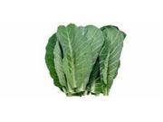 The Dirty Gardener Heirloom Southern Georgia Collard Seeds 1 000 Seeds