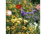 The Dirty Gardener Dryland Wildflower Seed Mix .5 Pounds