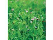 The Dirty Gardener Maxum D2340 Field Peas Cover Crop Seeds 5 Pounds