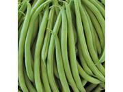Livingston Seed Co. Heirloom Provider Bush Beans