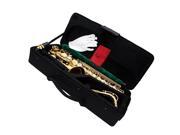LADE Alto Eb Golden Saxophone Sax Paint Gold With Case Accessories US Stock