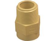 GENOVA PRODUCTS 50407 CPVC MALE ADAPTER 3 4