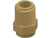 GENOVA PRODUCTS 50405 CPVC MALE ADAPTER 1 2
