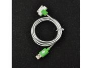 Full Of Life Fun USB Data Charger Cable For IPhone 4 4S 3G 3GS ipod Touch Visible LED Light 30Pin Green