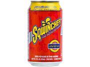 Sqwincher 12 oz Ready to Drink Can Fruit Punch 100105 FP Case of 24