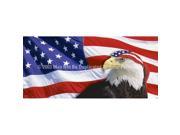 ClearVue Graphics Window Graphic 30x65 US Flag 2 with Eagle Bandana PAT 046 30 65