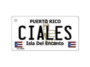 Smart Blonde KC 2829 Ciales Puerto Rico Flag Novelty Key Chain