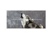 ClearVue Graphics Window Graphic 30x65 Howling in the Snow WLD 036 30 65
