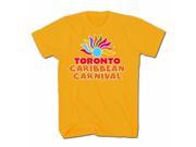 GDC GameDevCo Ltd. TCC 95037L Toronto Caribbean Carnival Toddler T Shirt Orange Size 4