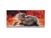 ClearVue Graphics Window Graphic - 30x65 Axeman FFS-014-30-65 ClearVue Graphics Window Graphic - 30x65 Axeman FFS-014-30-65