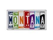 Smart Blonde LPC 1040 Montana License Plate Art Brushed Aluminum Metal Novelty License Plate