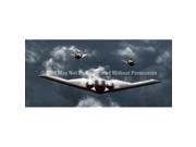 ClearVue Graphics Window Graphic 30x65 Stealth Squadron AVA 011 30 65