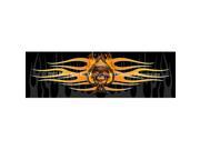 ClearVue Graphics Window Graphic 20x65 Flaming Ace Skull TAT 027 20 65