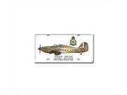 Past Time Signs DP009 Hurricane Iic Aviation License Plate