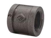 World Wide Sourcing 21 3 4B .75 Black Malleable Coupling
