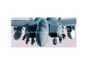ClearVue Graphics Window Graphic 30x65 Strike Eagle Canopy AVA 012 30 65